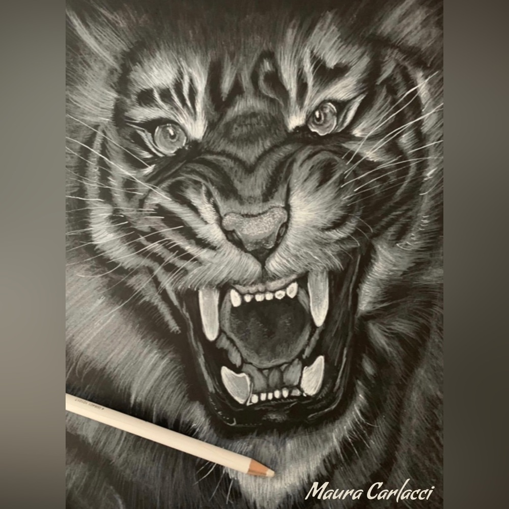 Carlacci Custom Art - Sketch 9x12 on Black Strathmore Paper